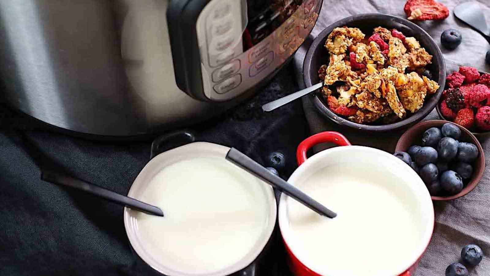 Yogurt inside bowls with instant pot behind. 