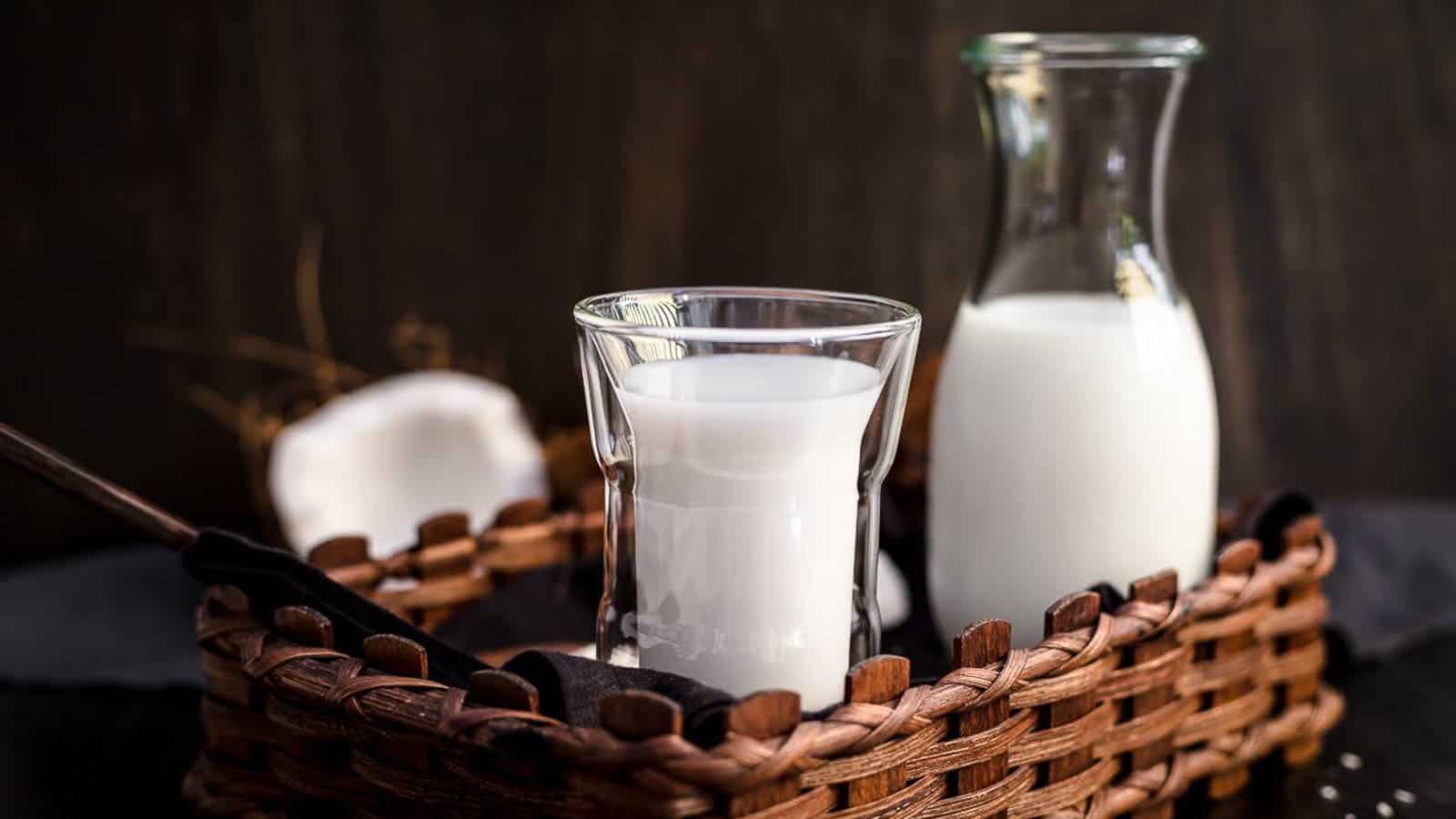 Coconut Milk in a glass and jug with fresh coconut behind. 