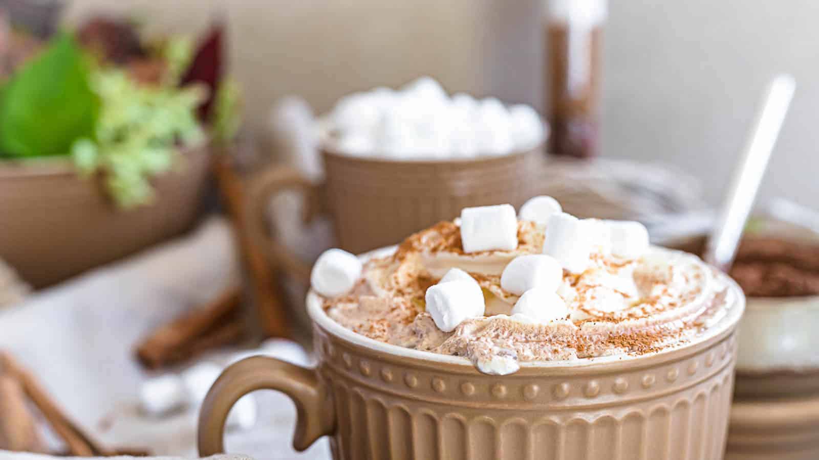 Sugar-Free Hot Chocolate Mix inside a mug with mini marshmallows.