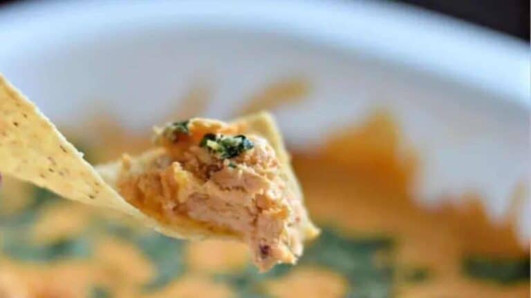 A tortilla chip being dipped into a bowl of dip.