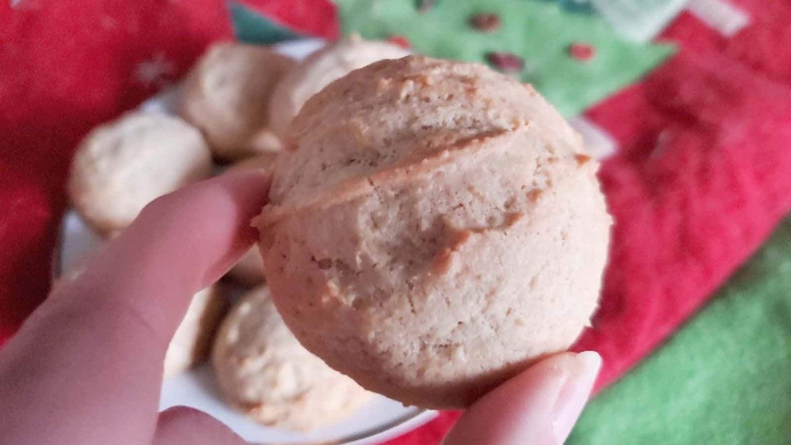 A person is holding up a cookie on a plate.