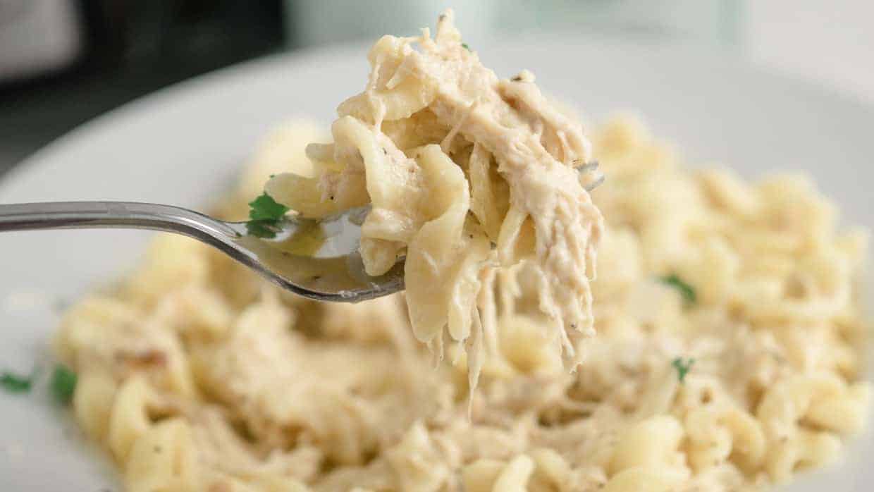 Olive garden chicken pasta on a fork.