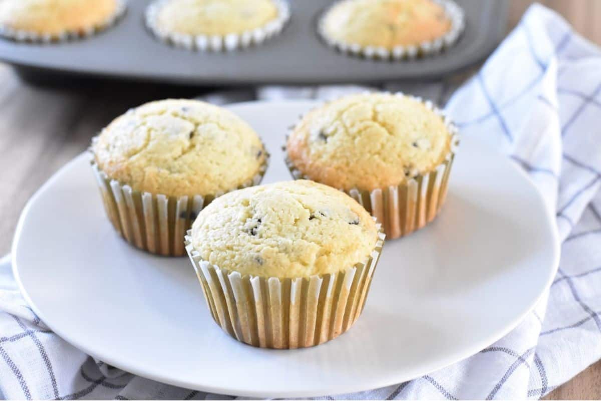 Chocolate chip muffins on a white plate.