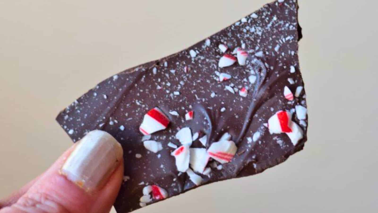 A person holding up a piece of chocolate peppermint bark.