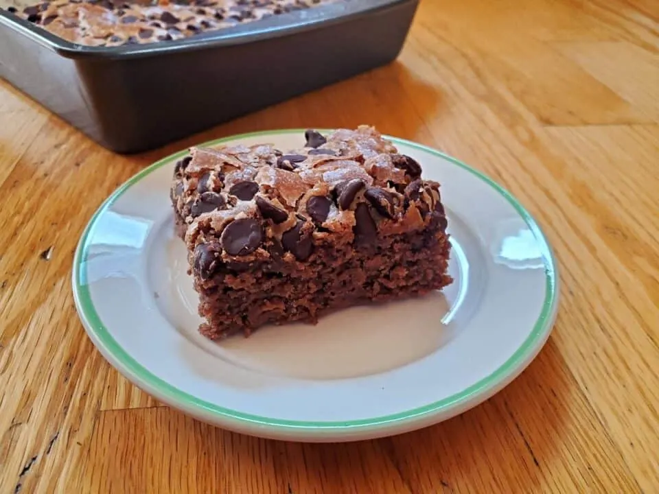 A small plate with a slice of chocolate chip applesauce cake with the pan holding the rest of the cake behind it.